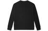 Vans Sweatshirts Unisex Black Crew Neck Moderate Regular VN0A4POABLK