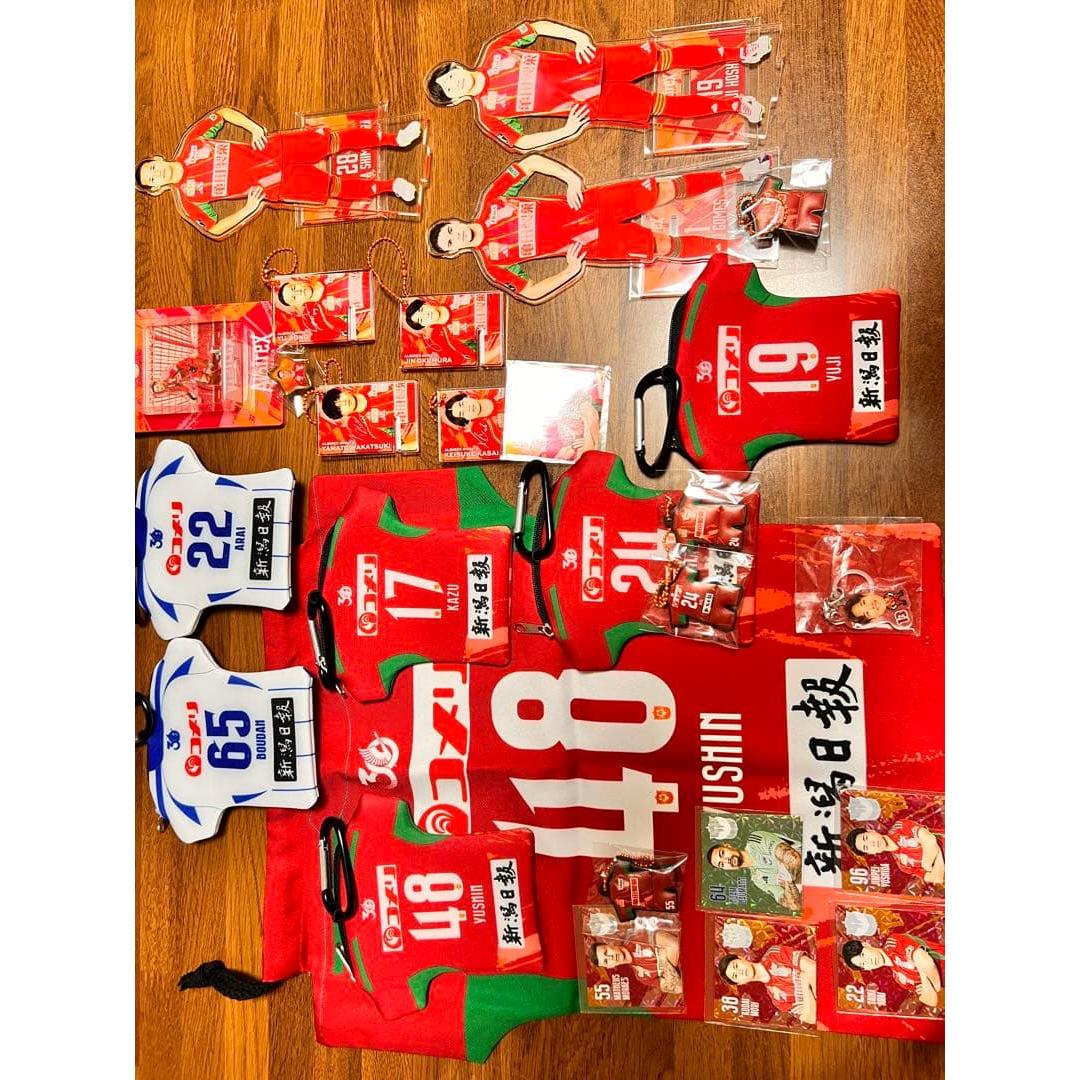 Used Albirex Niigata support goods bulk sale