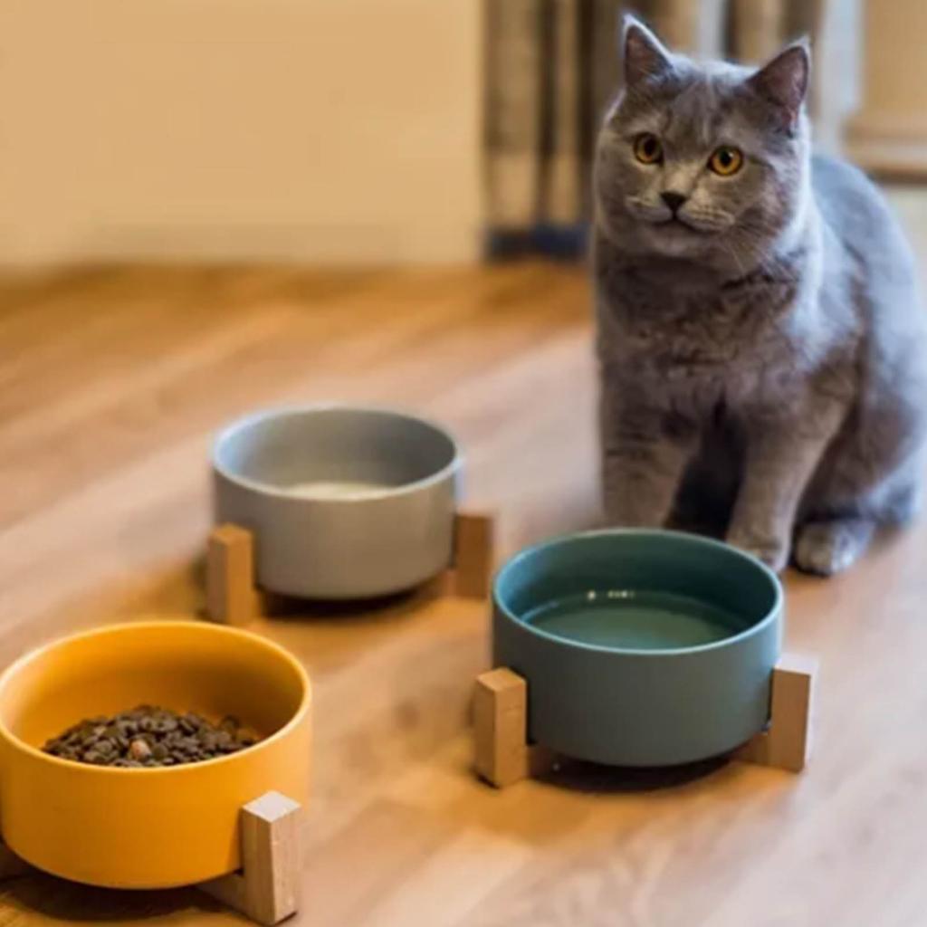 Ceramic Dog Cat Bowl Multipurpose Large Capacity Pet Bowl with Wooden Stand for Cats Dogs Pets