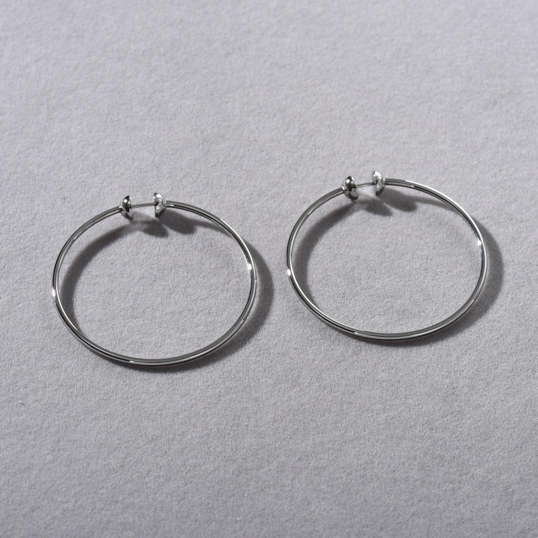 

Cold Wind Minimalist Titanium Steel Large Earrings Female Wind Exaggerated Unique Personality Fashion Versatile Earrings Earrings