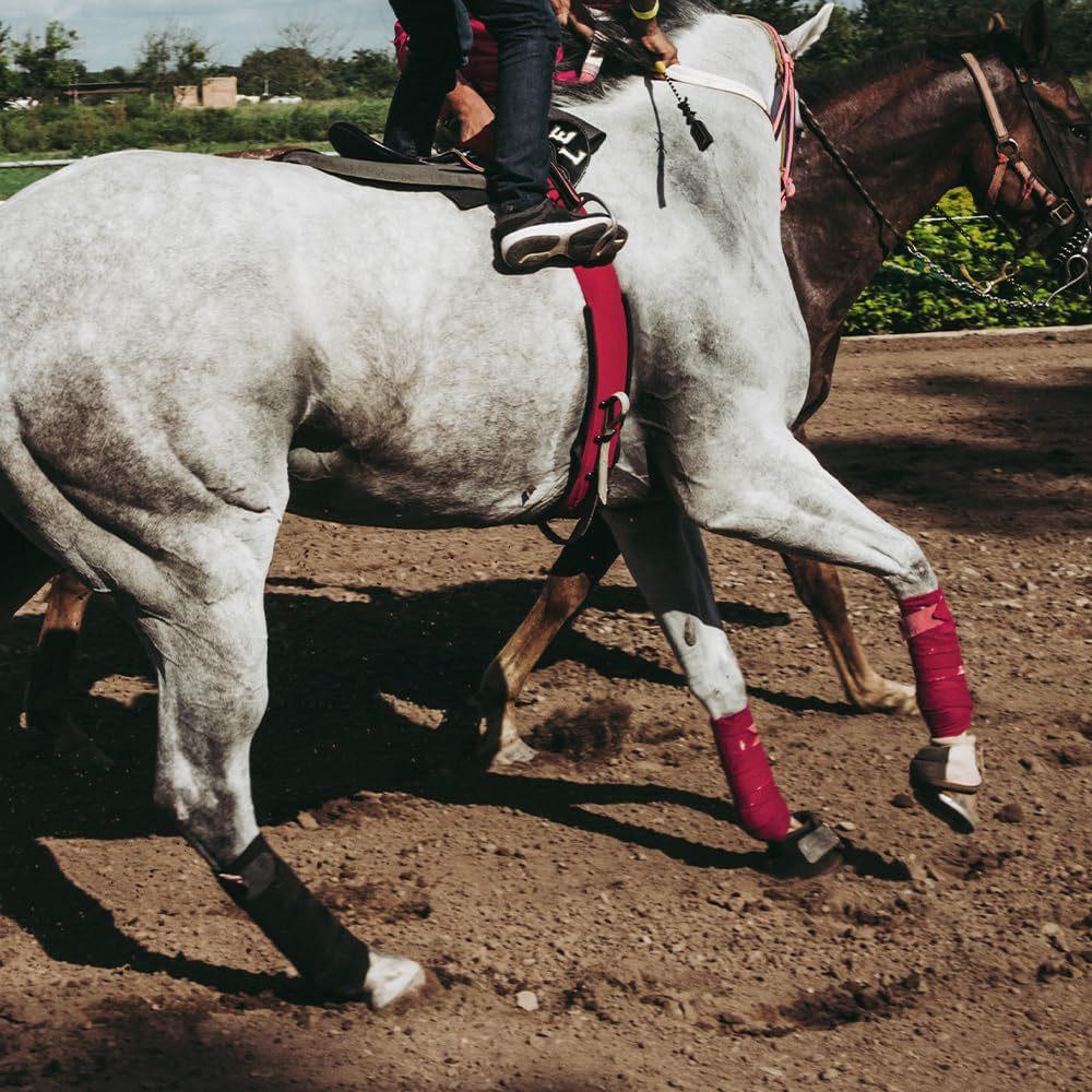 4Pcs Breathable Polar Fleece Horse Leg Bandage Equestrian Supplies Special Racing Protection Leg Protector for Equine