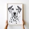 Plakat pies dalmatyńczyk