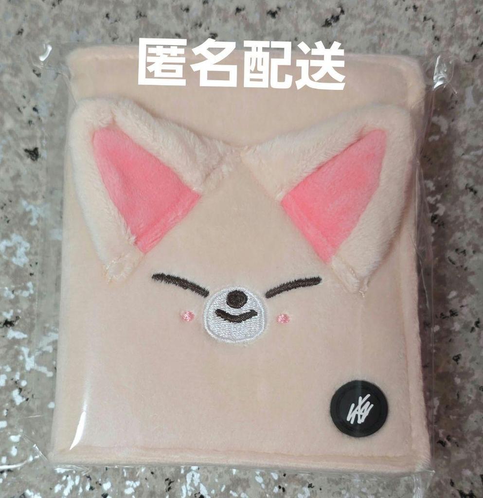 [USED] Straykids Ien Foxxyny Photo Card Case
