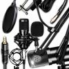 Accesorii audio și video – Microfoane
