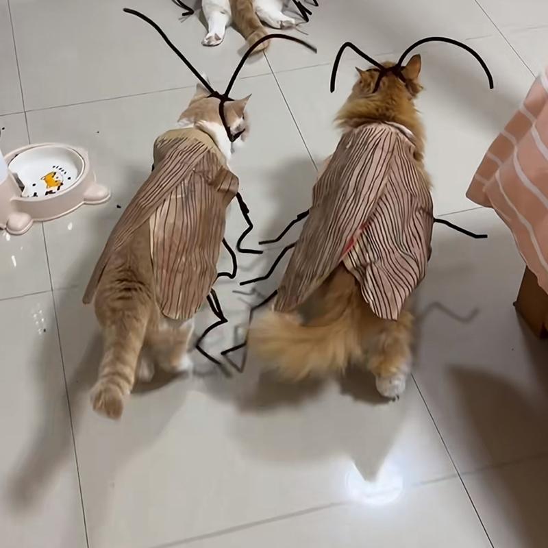 Cat Cosplay Dress Up Cockroach Costume Pet Breathable Clothing Funny Party Decor Outfit Uniform Pet Supplies