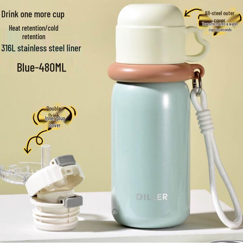 Diller 480ML Stainless Steel Insulated Straw Cup