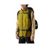 The North Face Vest Men's Light Green NF0A83SD-I0N