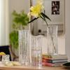 Vase Ornament Living Room Flower Arrangement Glass Transparent Light Luxury High-end Feeling Water Nourishment Lily Rose Hydropo
