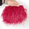 1Meter Red Ostrich Feathers Trim on Tape Ribbon Fringe 8-10cm Fabric Skirt Sewing Trimmings Feather Dress Clothes Decoration