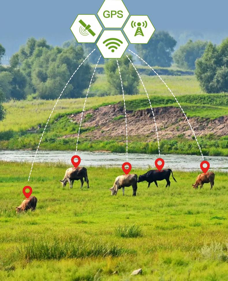 Solar-Powered GPS Cattle and Sheep Locator: Waterproof Anti-Lost Tracking Collar with Extended Battery Life