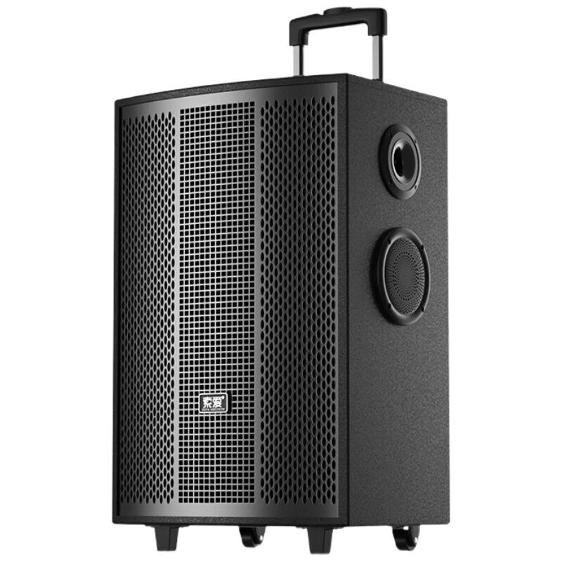

SA-F85 8-Inch Portable Bluetooth Karaoke Speaker