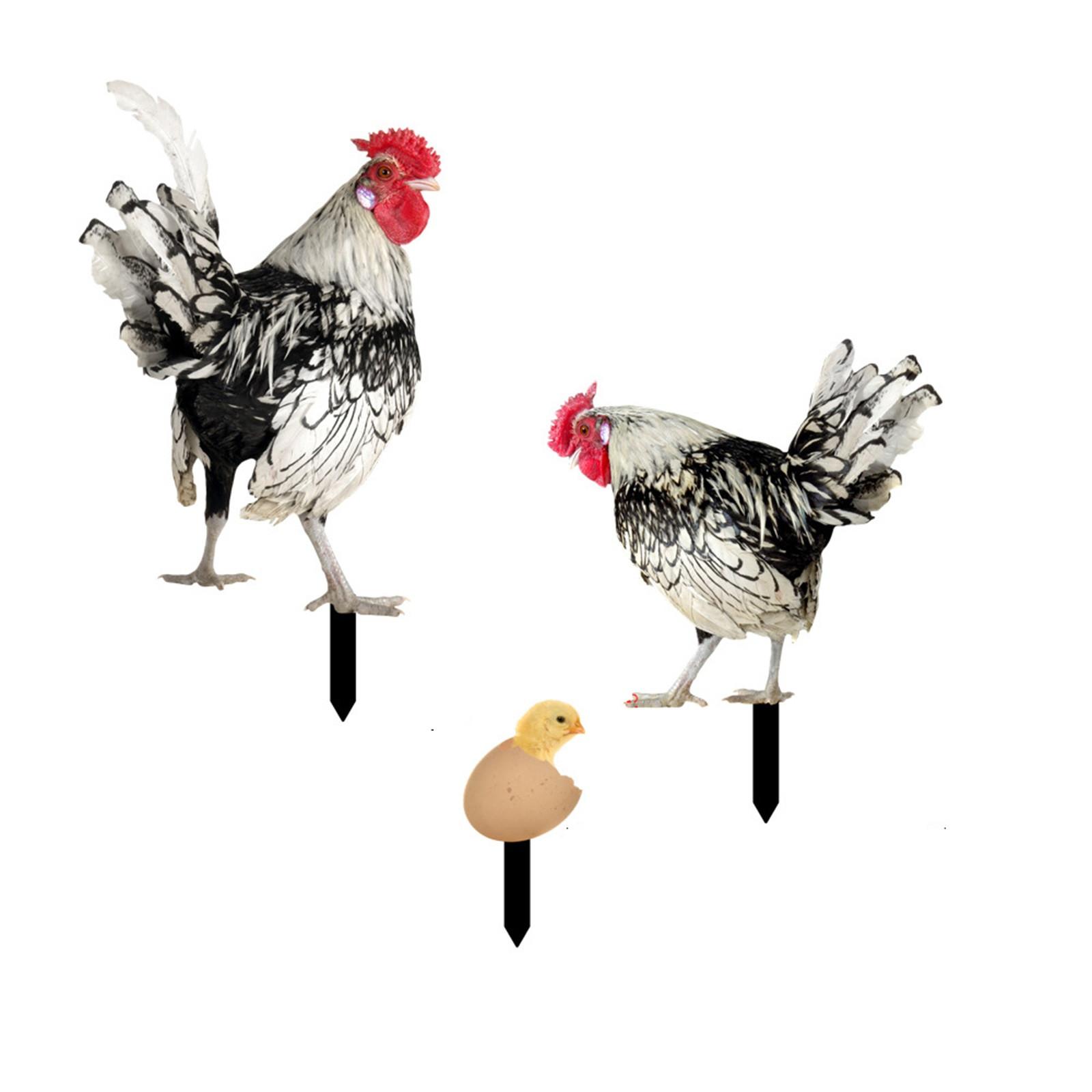 

Реалистичные статуи курицы, акриловые колья в виде петухов, животных, декор скульптур, куриные орнаменты, художественный декор для двора на заднем дворе, 3 шт.