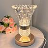 Crystal LED Vase Table Lamp USB Charging Touch Switch Tricolor Dimming Bedroom Decoration Bedside Living Room Decor Desk Lamp