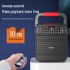 SANSUI SS20 Portable KTV Bluetooth Speaker System (CN Version)