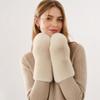 1pair Windproof Plush Gloves Soft Full-Finger Gloves New Winter Mittens  Women