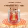 HEZHENG Portable Smokeless Moxibustion Kit CN plug (adapter included)