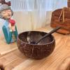 Reusable Coconut Bowls Natural Serving Dishes New Utensils  Dessert