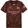 Puma Manchester City Soccer Jersey Men's Russet 775107-41