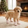 4 PCS/SET Plush Lined Dog Cotton Shoes Comfortable Anti-Slip Dog Shoes Pet Paw Protection Hiking
