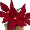 JELLYCAT Botanical Series Funny Poinsettia Companion Doll Plush Doll 25cm Tall