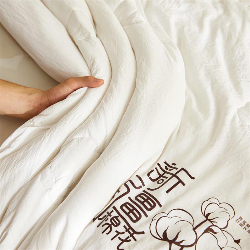 Xinjiang Long-Staple Cotton Winter Quilt