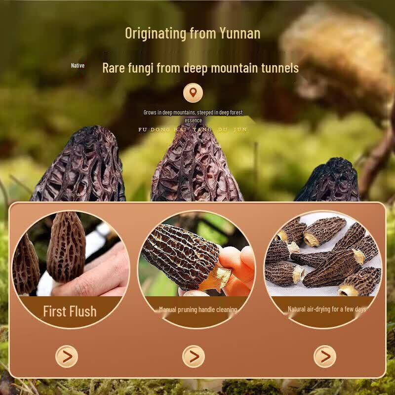 Fudonghai Dried Morels Gift Box