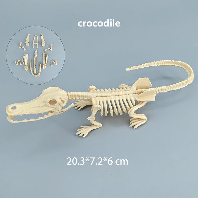 1 Set Kid Toy Diy Assembly Jurassic Dinosaur Fossil Skeleton Mosasaurus Tyrannosaurus Action Figure Collection Creative Model