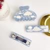 Exquisite Clouds Acetate Ponytail Clamp Hair Clips Hair Claw Women Hairpin