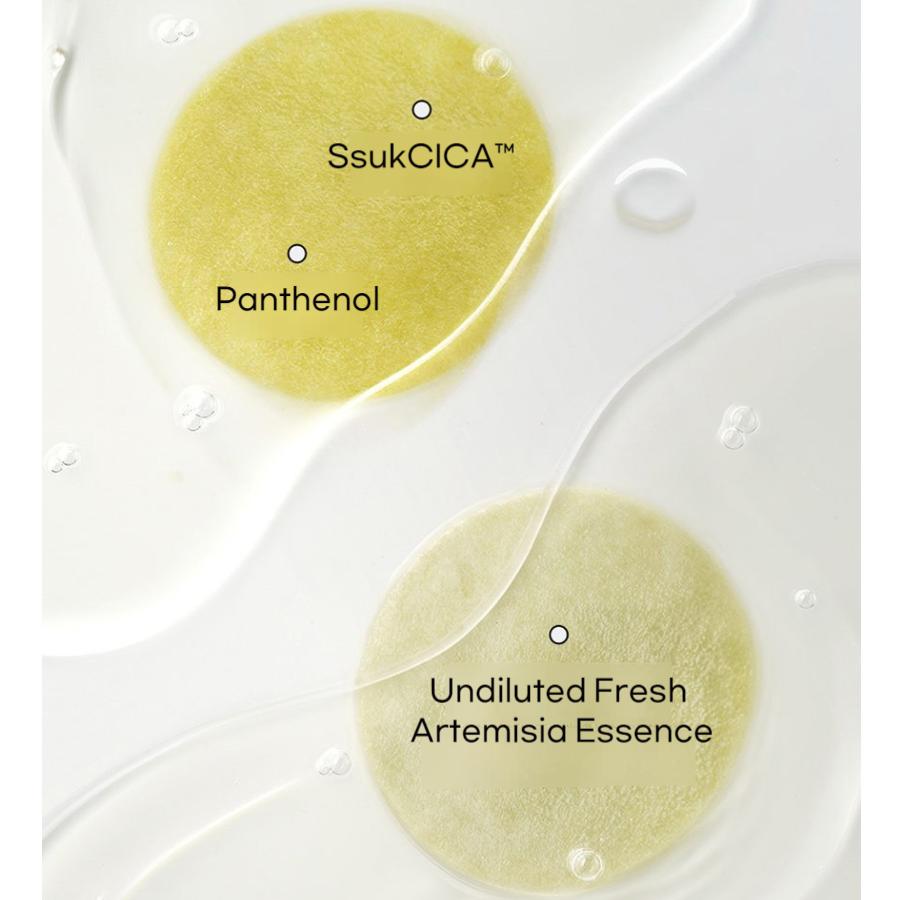 Hanyul Artemisia Moisture Calming Pad 170ml (60 Sheets)