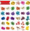 2018 New Style Nail Art Decals: Dried Flowers & Rhinestone DIY Decorations