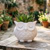 Cute Owl Planter Plant Pot with Drainage Hole Ceramic Decorative Planter for Succulents Small Aloe Home Office Desktop Decor