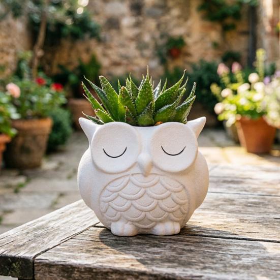 Cute Owl Planter Plant Pot with Drainage Hole Ceramic Decorative Planter for Succulents Small Aloe Home Office Desktop Decor