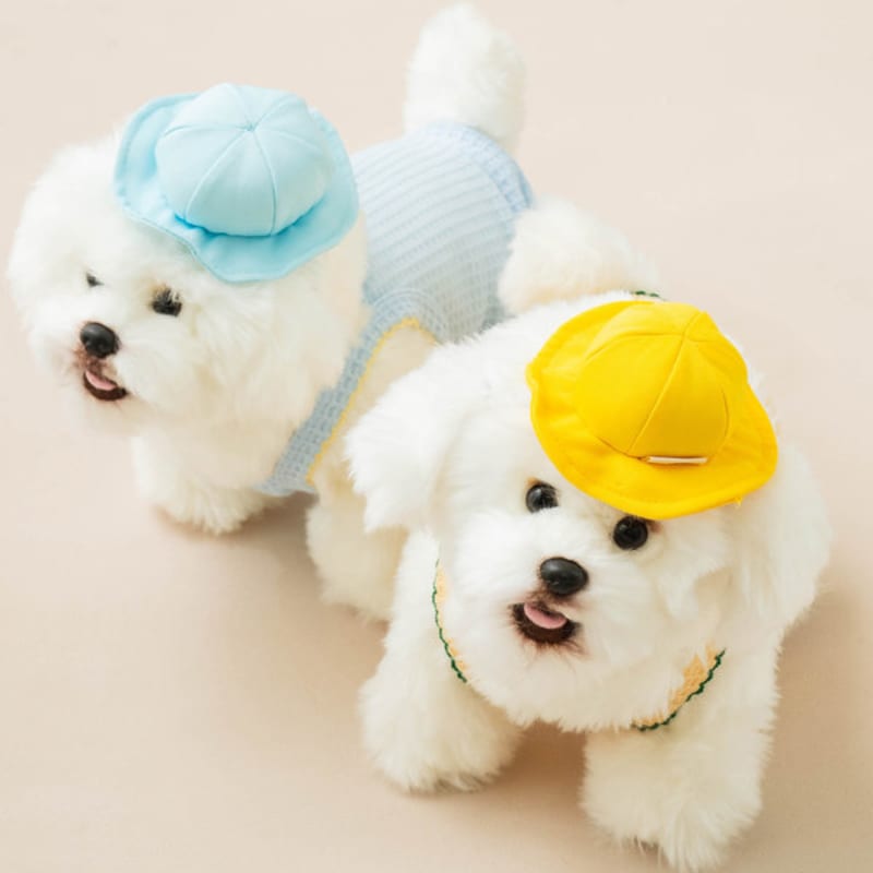 

[Pet] Kindergarten Hat S