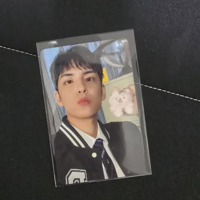 

Day6 Denimals Popup Store Photocard Wonpil