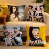 Cushion Cover  Linen  SkinFriendly Soft Decorative Case for Sofa Home Decor Singer LLily Allen Pillow Cover