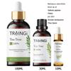 Pure Natural Therapeutic Grade Essential Oils Rose Jasmine Eucalyptus Mint Vanilla Tea Tree for Skin Care Massage Diffuser Oil