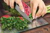 GLAS-SCHNEIDEBRETT 30x22 WASSERMELONE