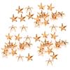 200Pcs Star Rivets 5‑Pointed Star Claw Nails DIY Bags Hats Decoration Accessories 10MMGold