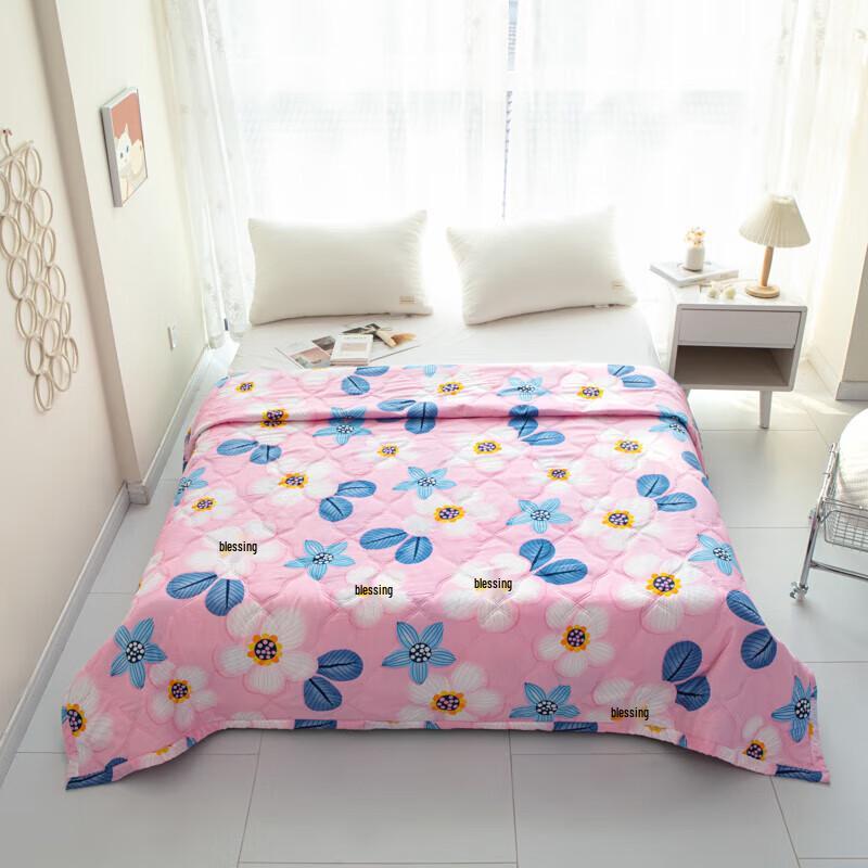 Muxinzi Skin-Friendly Velvet Summer Quilt