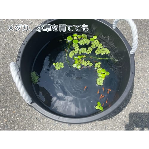 Heiwa Industrial Multi-Purpose Tub, 30L, Black