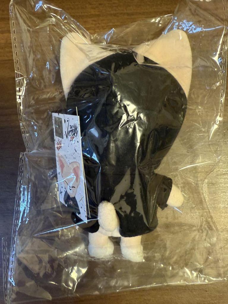 [USED] SKZOO Mini Plush Toy Foxxy Ien Straykids SKZ