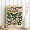 Vintage Adolphe Millot Encyclopedia Posters Butterfly Mushrooms Herbs Flowers Insect Classic Canvas Paintings Wall Stickers