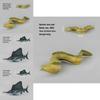 Arabian Pike Eel Kids Marine Animal Toy Set With Realistic Plastic Models For Educational Play