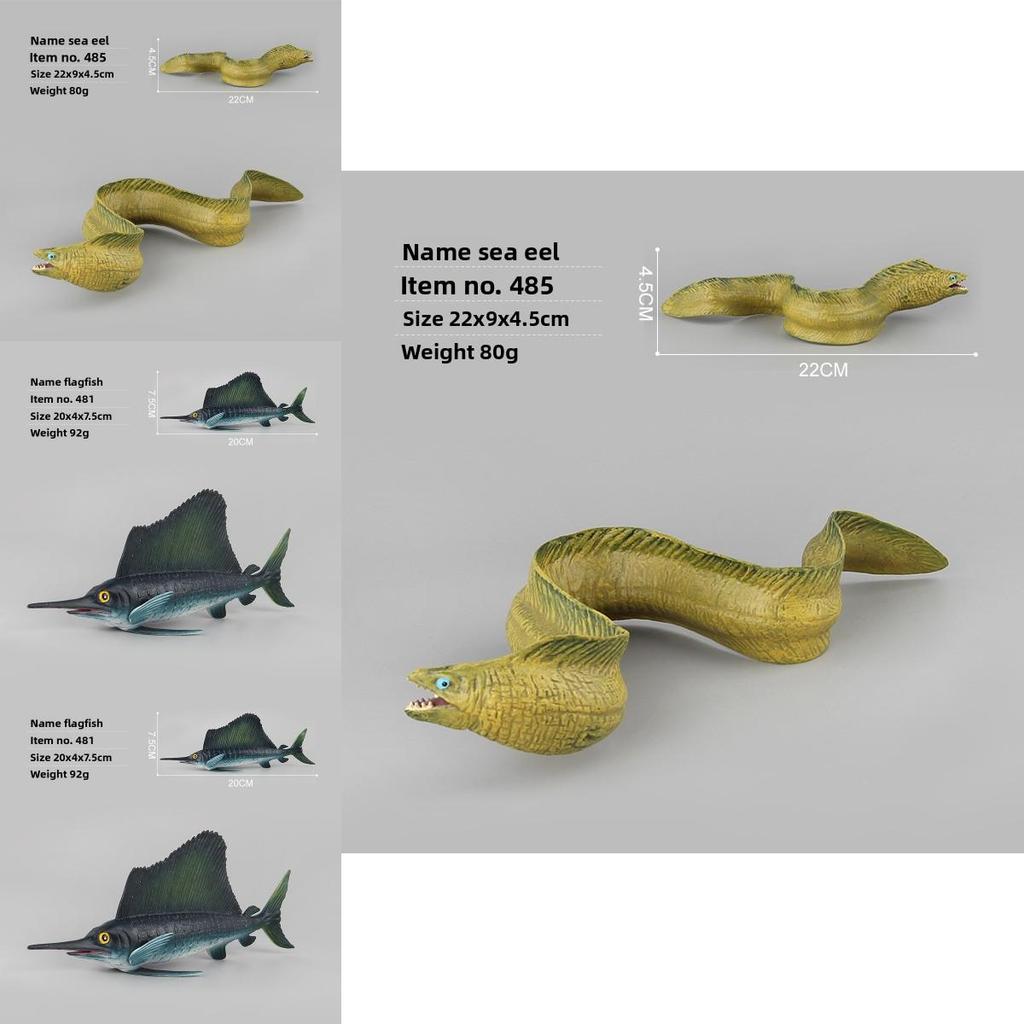Arabian Pike Eel Kids Marine Animal Toy Set With Realistic Plastic Models For Educational Play