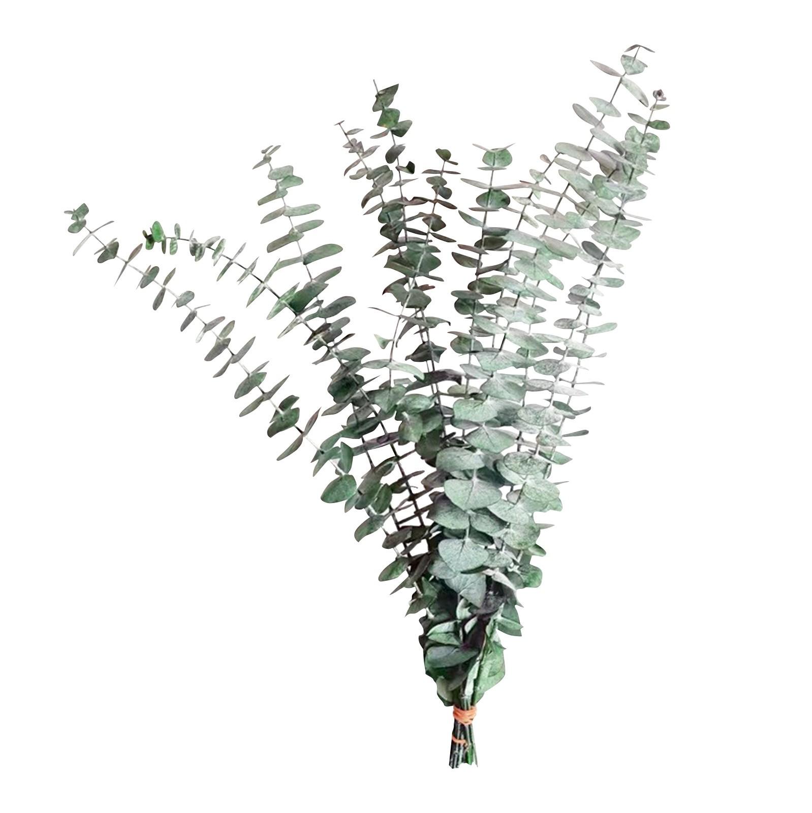 

Сухой ствол дерева 17 дюймов, подвесная душевая стойка из настоящих листьев, сделанная из свежих листьев, свадебное украшение, украшение дома, украшение сада S зелёный