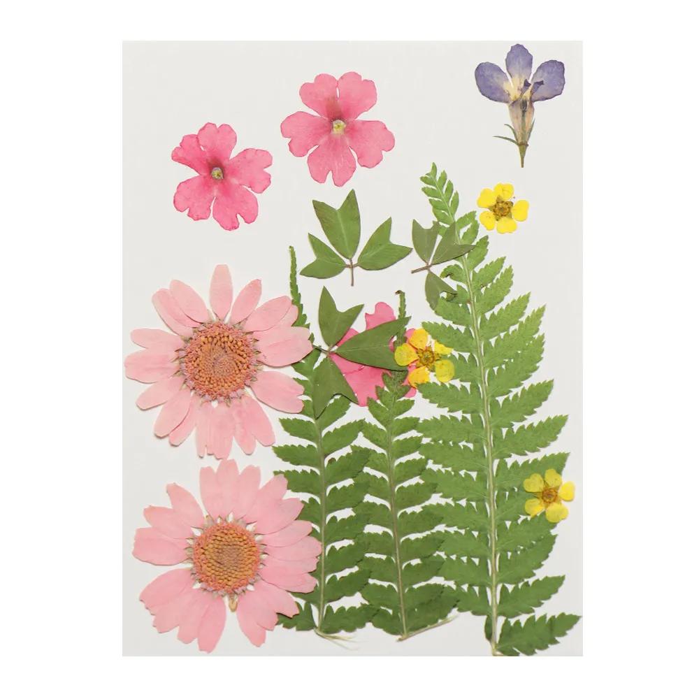 Real Natural Dried Flowers Pressed Flowers Resin Mold Fillings Flower for DIY Candle Resin Crafts Jewelry Nail Art Beauty Decal