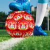 Leverkusen Germany  Indoor Soccer Ball Colorful All Ages Machine Stitched PVC Competition Ready Durable High-Bounce SIZE 5 Football.