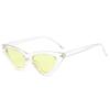 FASHION Sexy Cat Eye Sunglasses Triangle LADIES Small Size Modern Retro Designer Women Sun Glasses Shades for Lady