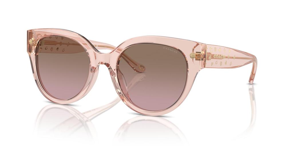 Coach HC8393U CR612 Sunglasses TRANSPARENT DUSTY ROSE 53 Women's