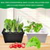 6 Holes Hydroponic Grower Kit Plastic Nursery Pots Soil-Free Planting Box  Balcony Cultivation